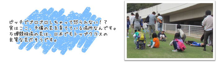 �s�b�`�ŃS���S����������ē{���Ȃ��I�H���͂����A�\���̎ł���ĂĂ���ꏊ�Ȃ�ł��B�������Z��̎ł́A���{�ł��g�b�v�N���X�̗ǎ��Ȏł������ł��B