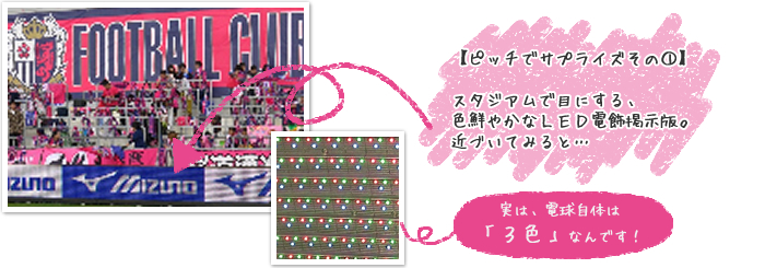 �y�s�b�`�ŃT�v���C�Y���̇@�z�X�^�W�A���Ŗڂɂ���A�F�N�₩��LED�d���f���ŁB�߂Â��Ă݂�Ɓc�R�R���́A�d�����̂́u�R�F�v�Ȃ�ł��I