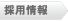 採用情報