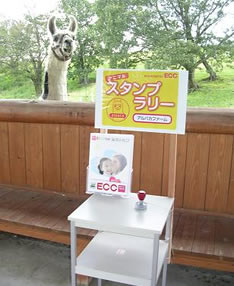 那須どうぶつ王国