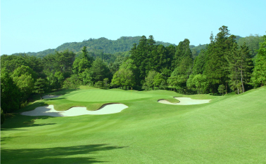 Hole 7  /  142yard  Par3 画像