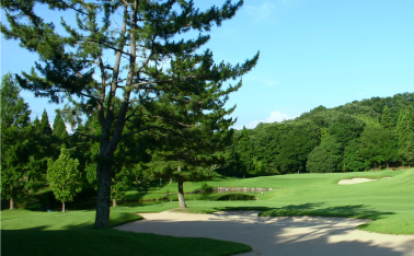 Hole 11  /  347yard  Par4 画像