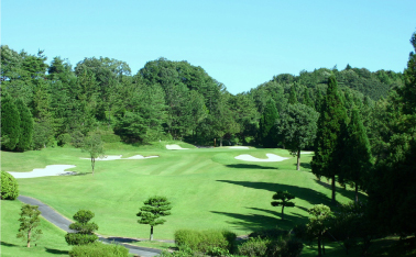 Hole 15  /  166yard  Par3 画像