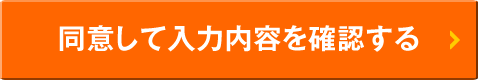 同意して入力内容を確認する