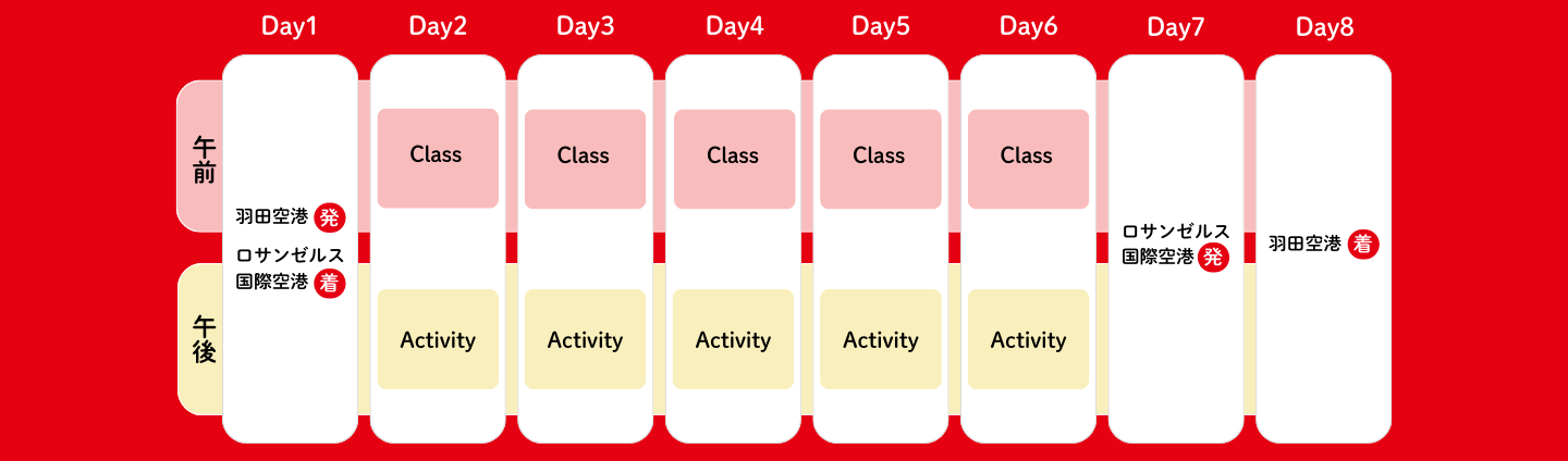 8日間のスケジュール